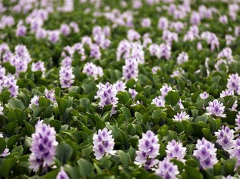 管理专业什么好,找什么工作有发展前景