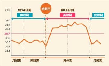 吃什么增亮狗狗毛色,吃什么能使狗狗的毛发发亮