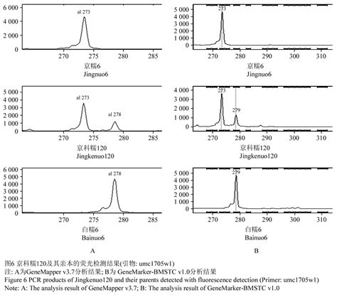 不同播期影响春玉米土壤温度及生物量,玉米生物量是什么