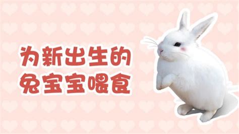 猫咪什么时候体内驱虫药,猫咪驱虫药哪种好