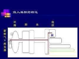 吸入麻醉怎么操作,宠物吸入式麻醉怎么做