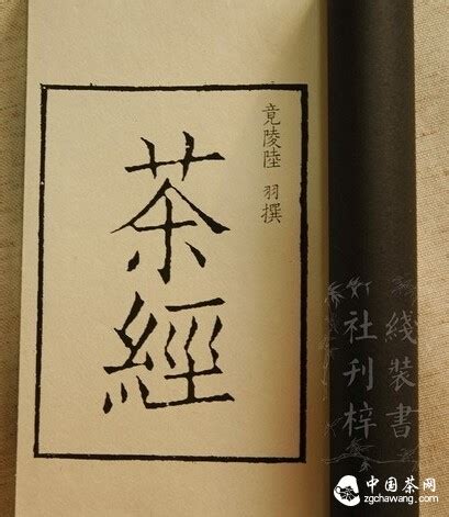 这杯不断加料的茶饮如此受追捧,想投资颐茶怎么样了