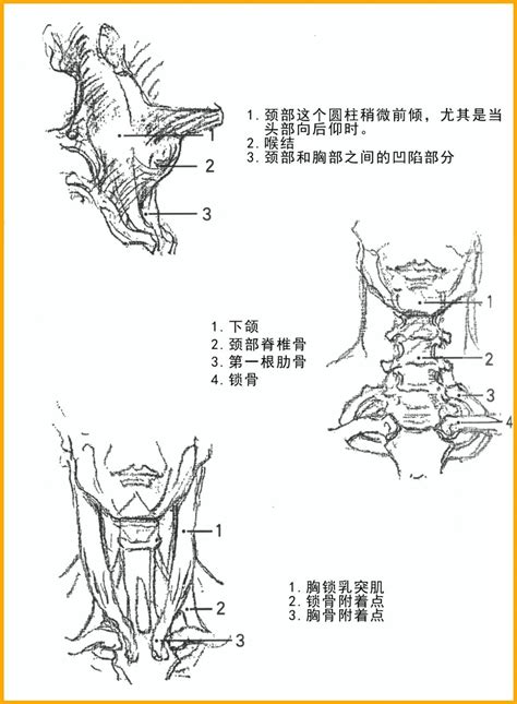 能源与动力工程专业课是什么,能源与动力工程专业