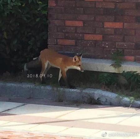 xboxone与ps4哪个好,one哪个好