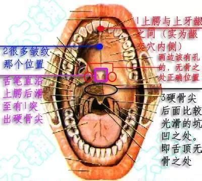 为什么神奇看不了,为什么网络小说看多了之后