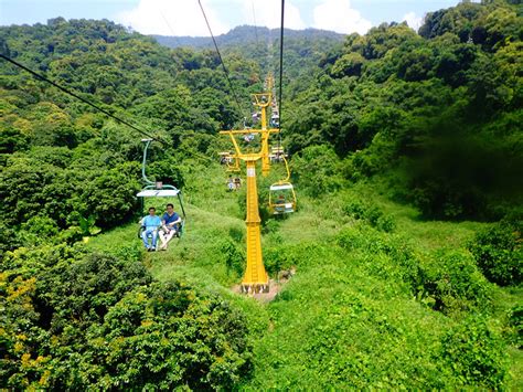 罗山做什么生意挣钱,起底罗山飞天大盗