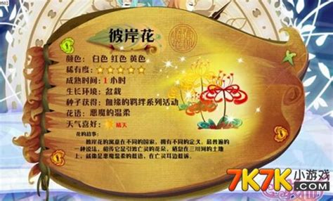 小花仙彼岸花有什么用,彼岸花消失不见