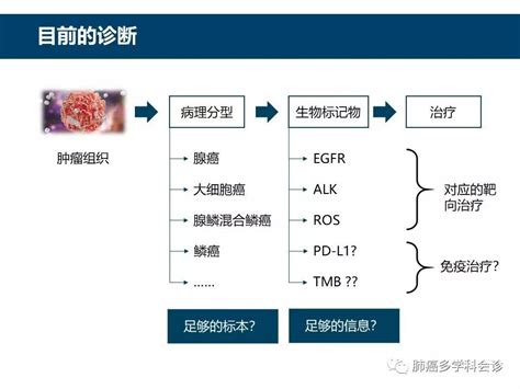 jmgo在哪里卖,如何在网上卖大米