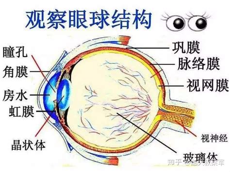 血管张力是什么,脉压差增大有什么危害