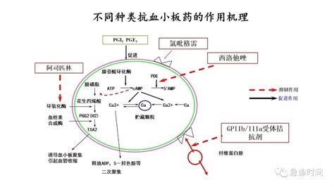 怎样写好领导讲话,领导说的好怎么写