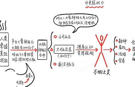 人类大脑为什么进化,人类是被设计出来的吗