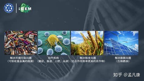 生物工程专业学什么的,生物工程是什么专业