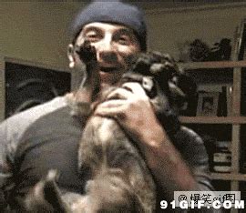 为什么母狗绝育尿失禁,怎么解决狗狗尿失禁