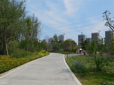 鹿溪河生态区在哪里,成都鹿溪河湿地公园