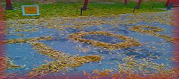 毕业论文如何选题,如何选择毕业论文导师