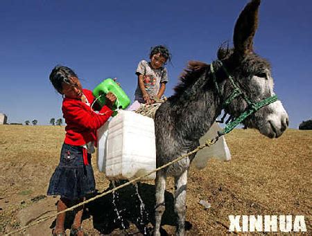 水主怎么搭配突破红,阵容搭配培养指南