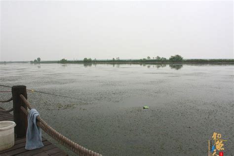 林??湿地哪里能钓鱼,平安福湿地公园休闲钓