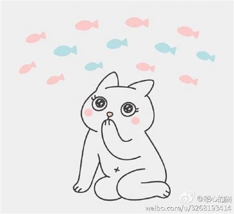 怎么让猫胖起来,猫咪想要胖脸该怎么胖