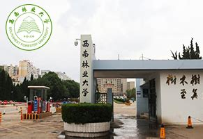 历史学专业学什么,学习历史学有什么用