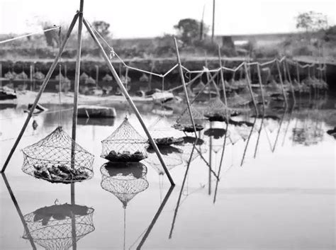 烤肉怎么烤好吃,烧烤怎么考