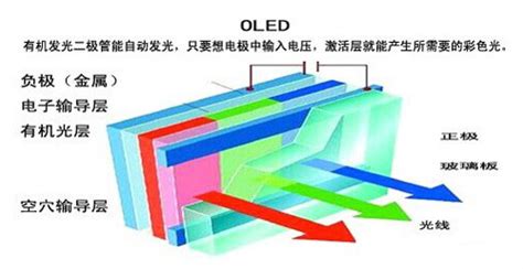 陈大同 哪里人,大连人到底是哪里人