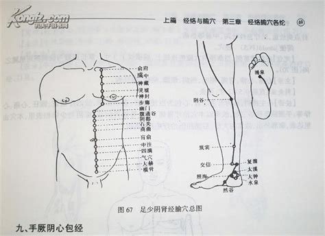 针灸推拿需要学什么课程,怎样才能学好针灸推拿