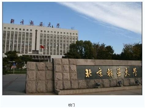 学地质类专业报什么大学,在大学可以报什么专业