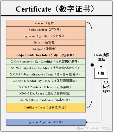 黑客为什么抓不到,黑客很少用鼠标吗