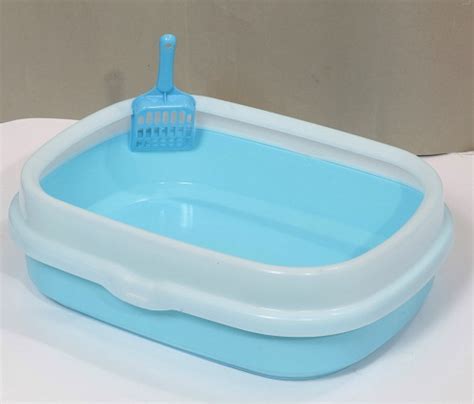 为什么猫的耳朵那么脏,猫宫庄园为什么猫咪总是挠耳朵