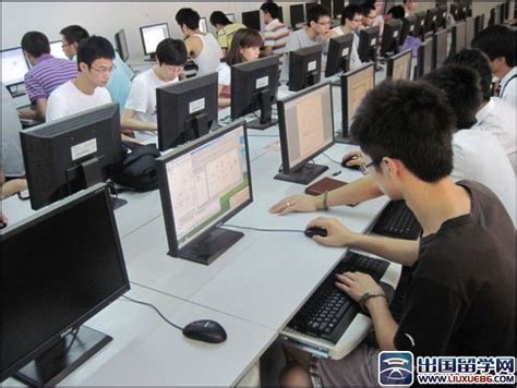 小白如何学编程,如何学习编程