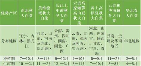 为什么要详细的引出卖白菜的数字,莫言的《卖白菜》