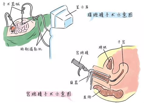 中宫在什么位置,书房在家的什么位置好