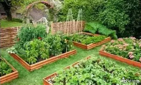 农村做个什么赚钱,在农村做什么有钱途