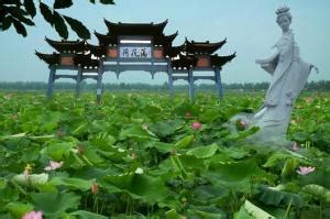 金湖荷花荡什么时间去玩最好,淮安金湖荷花荡什么时候荷花最多最美