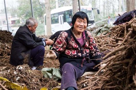 农村老年人涨多少工资,今年农村老年人涨多少钱