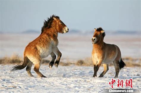 华电如皋怎么样,今年如皋交通要做这些……