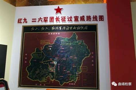 红警4军团大战怎么布阵,《植物大战僵尸》再次爆火