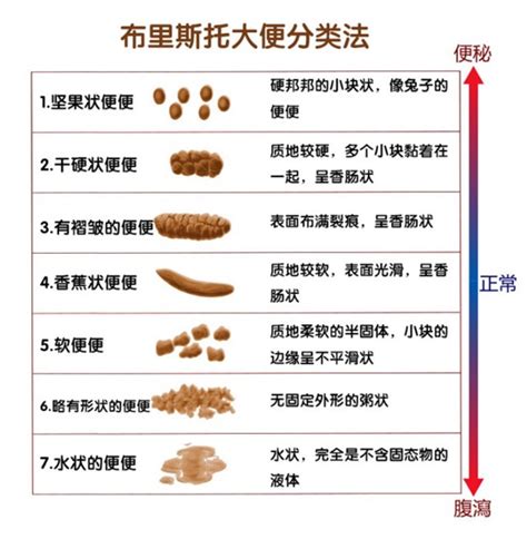 拉布拉多肠胃有异物怎么办,饲养拉布拉多四大误区