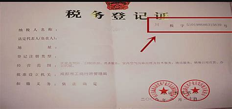 公司的纳税人如何查询,如何查询纳税人代码
