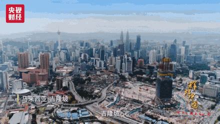 河北区八马路旁什么河,40万株绿植美化八马路