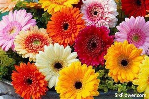 襄阳有什么大学,湖北襄阳有几所大学