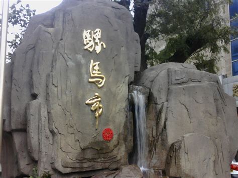 骡子是不是马和驴的杂交品种,骡马交配