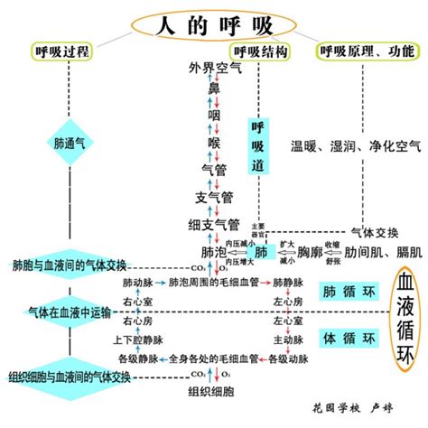 初中物理教学擅长点有哪些,作业帮新匠师丨李贺明的初中物理分岔论