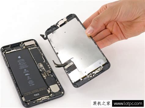 使用iPhone7plus第7天 苹果7plus换了电池还好使吗