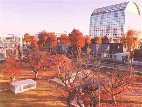 沐浴馆是什么样的,美园馆是什么样的