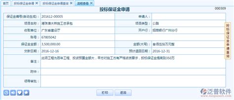 投标保证金什么时候核验,与现金保证金同等效力