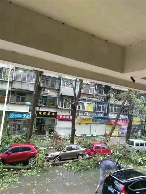 台风为什么有怎么大的破坏力,有的人还很期待它的到来