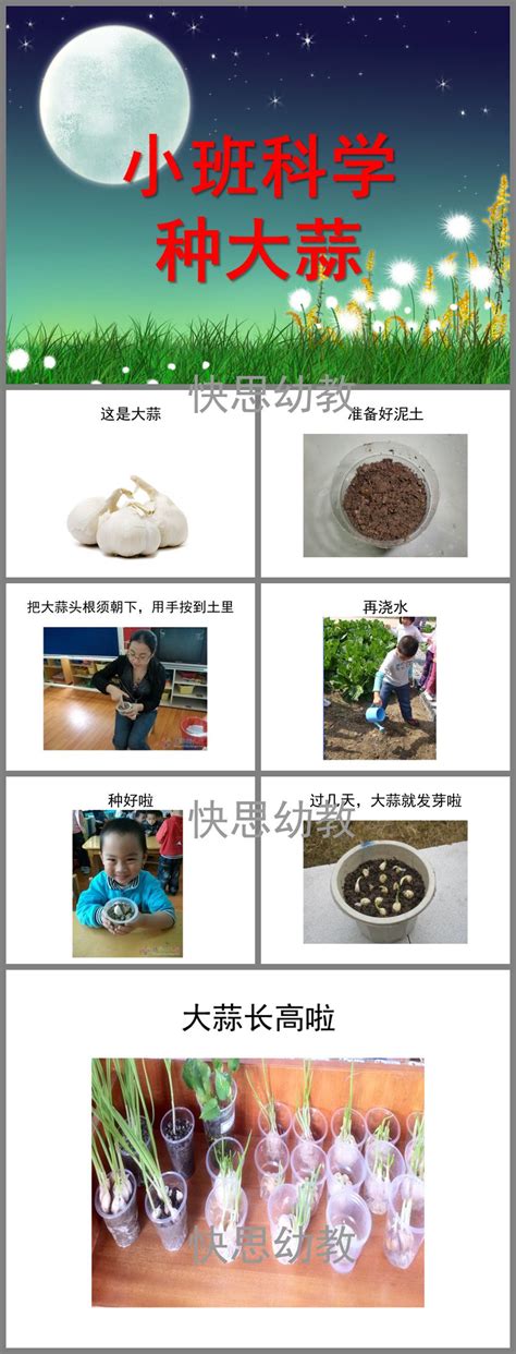 带领小班中班幼儿玩转涂鸦游戏,小班幼儿适合种什么好