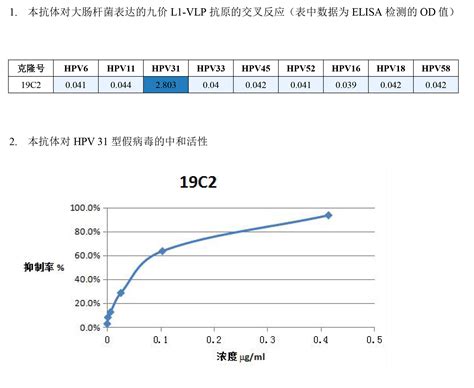 &quot;单克隆抗体	&quot;,单克隆抗体药物概