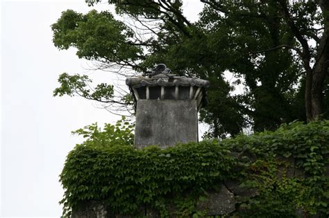 金城江城区有多少道路,文明交通人人有责